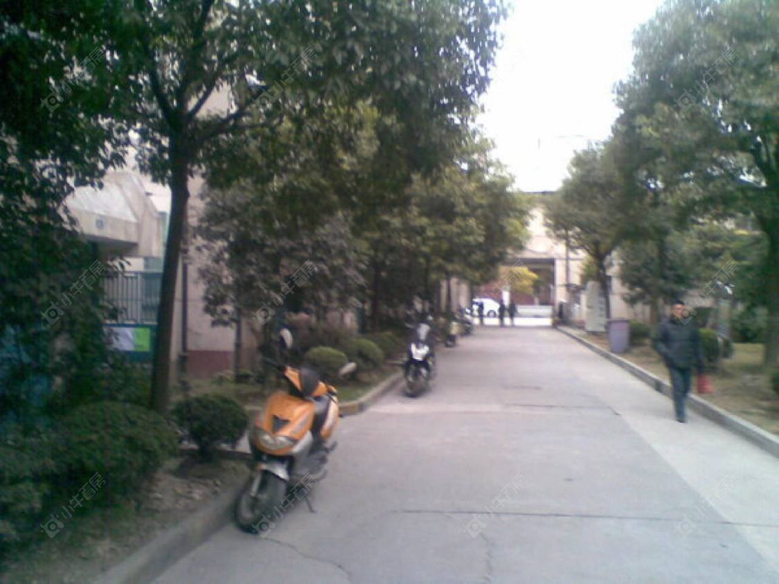 上海三钢里小区_三钢里小区null