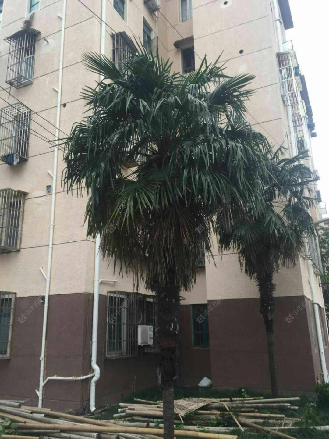 上海莘松七村小区_莘松七村小区实景图