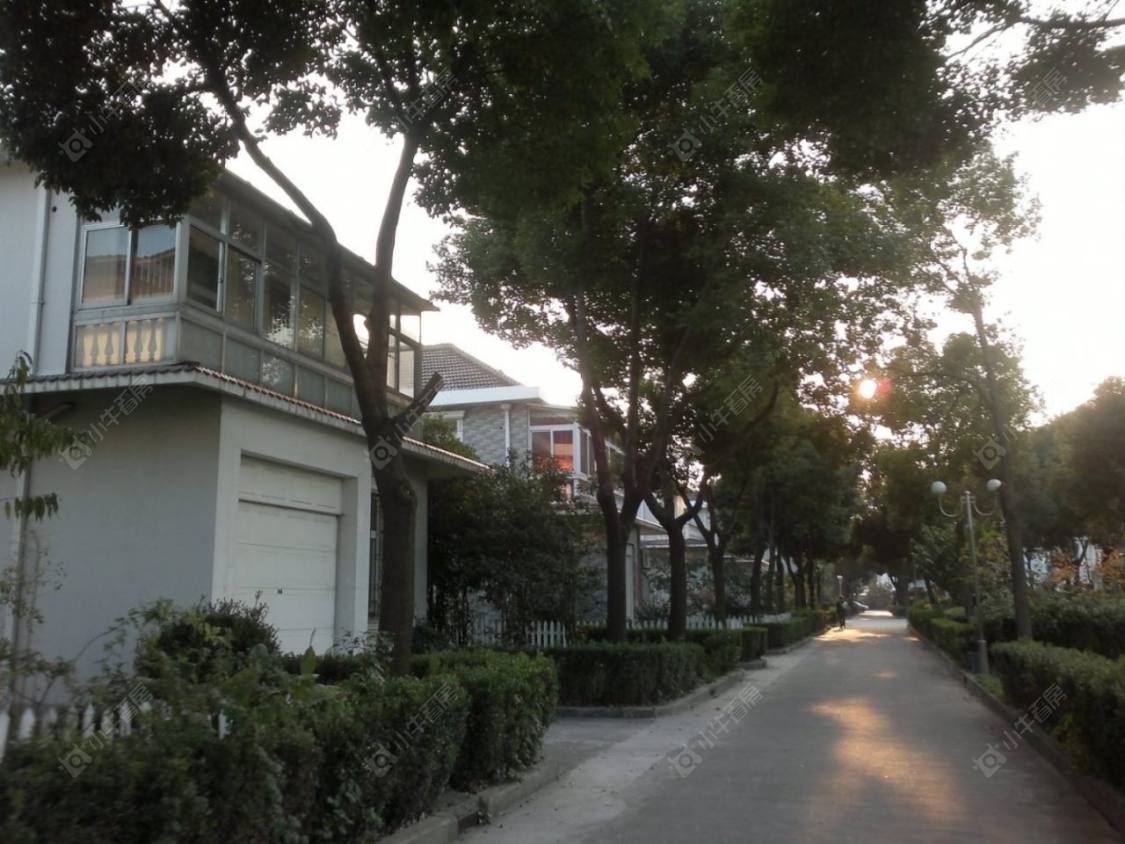 上海兴苑小区小区_兴苑小区小区null