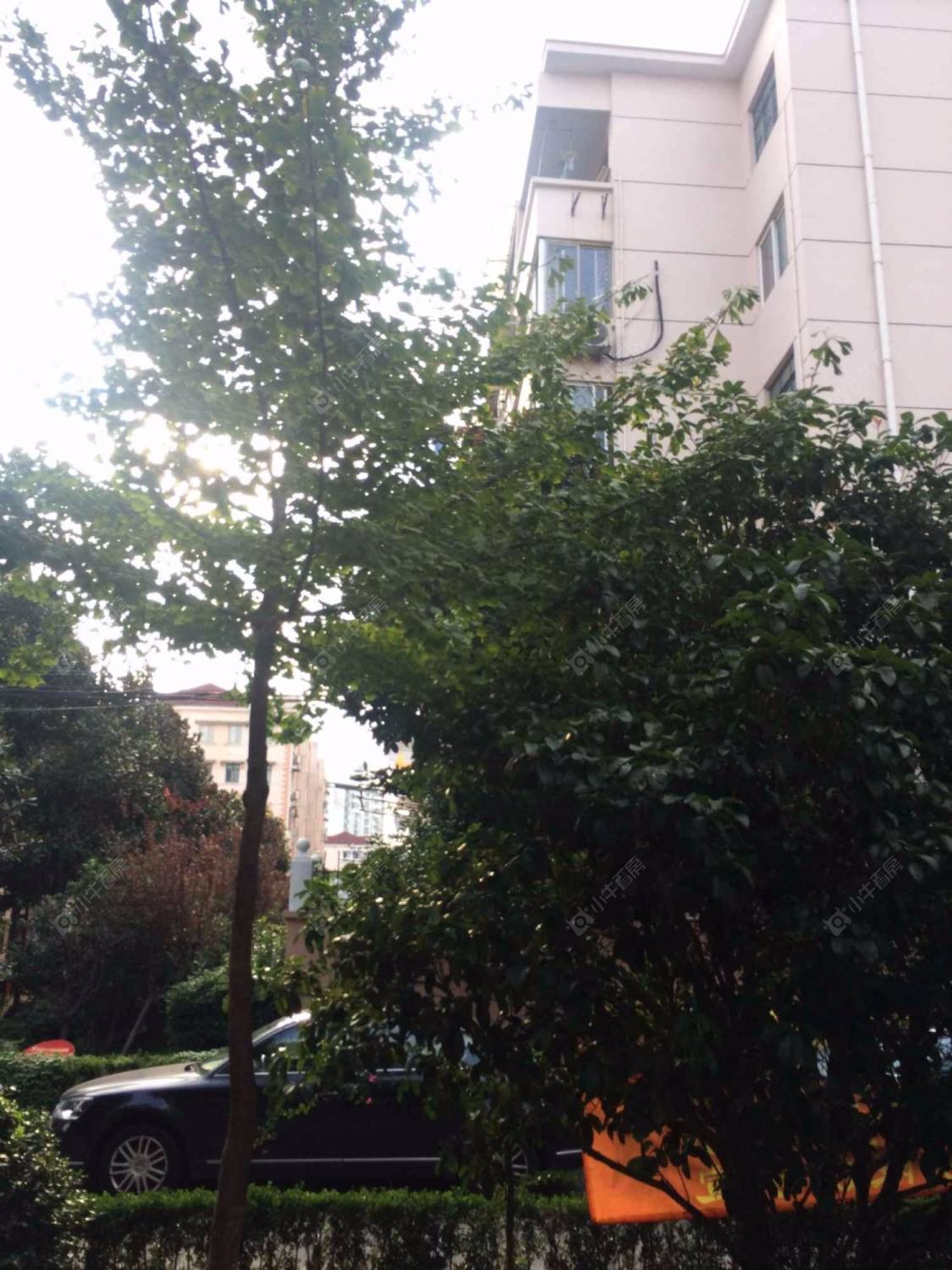 上海南码头路1316弄小区_南码头路1316弄小区null