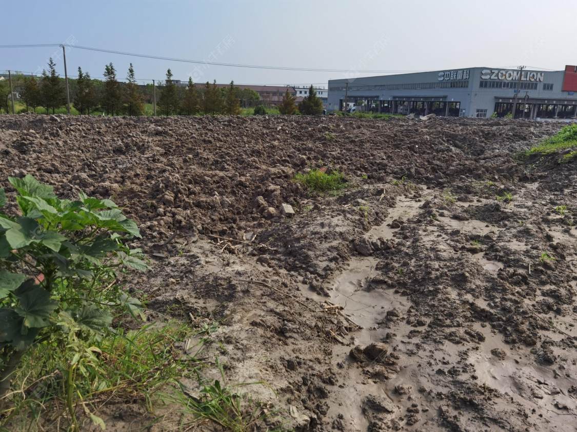 上海宝业青春里在售新楼盘null