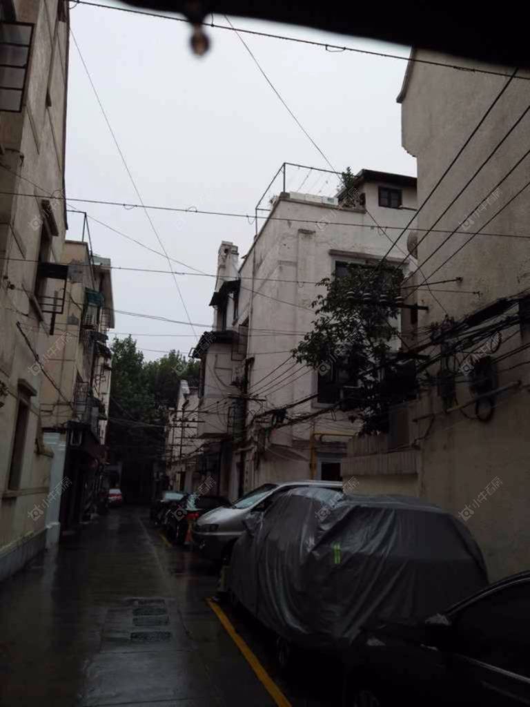 上海曲园小区_曲园小区null