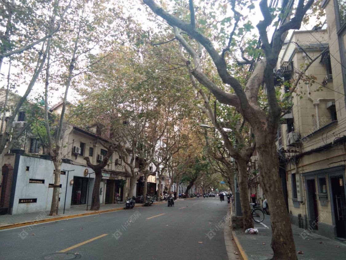 上海巨鹿路393弄小区_巨鹿路393弄小区null