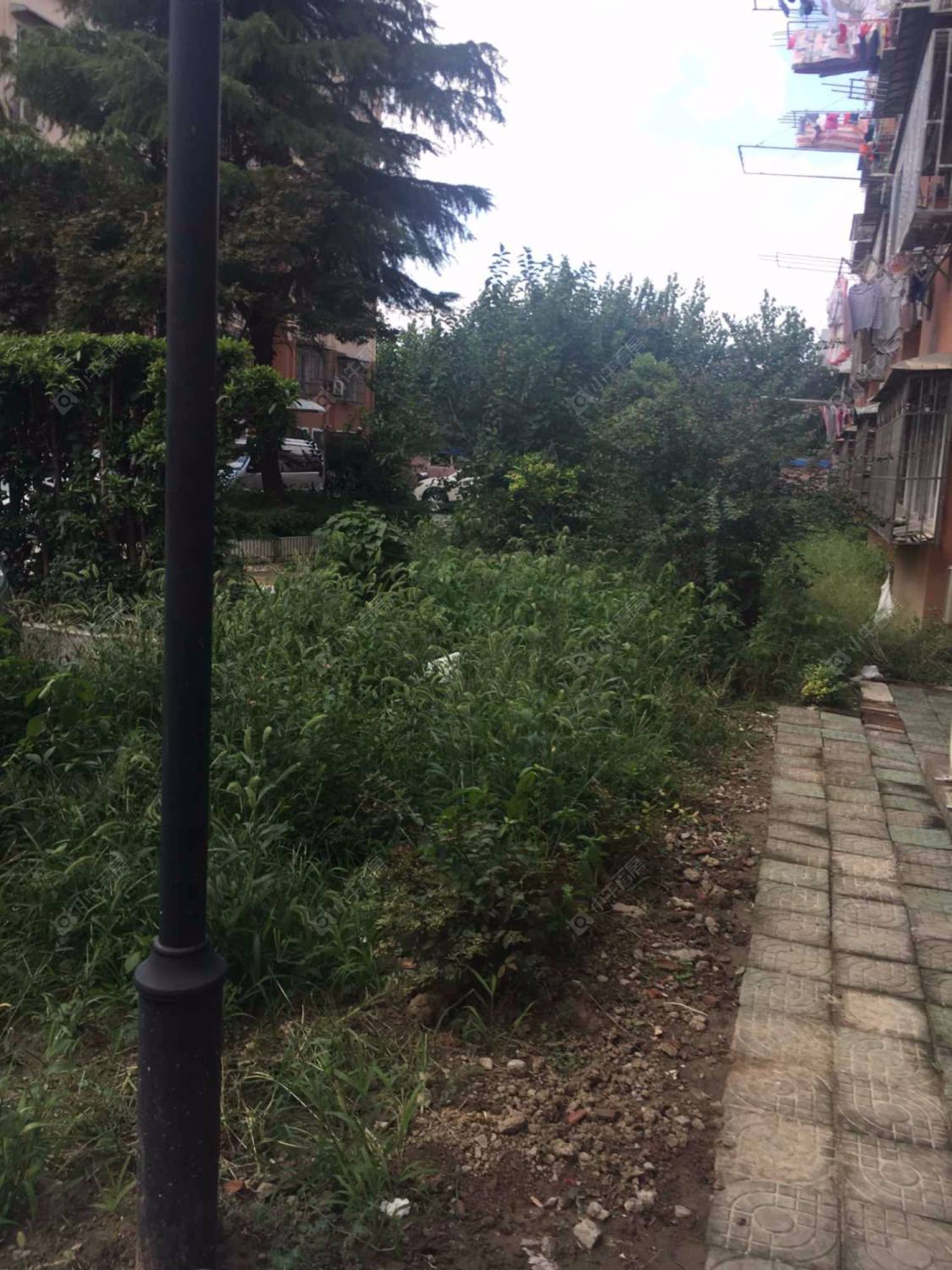 上海芳华路229弄小区_芳华路229弄小区null