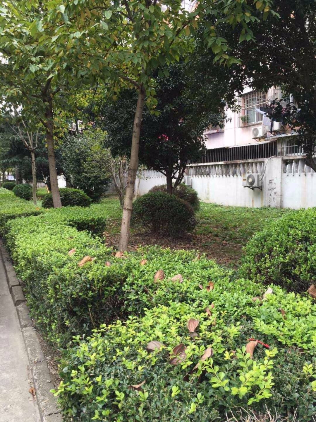 上海迎园新村三坊小区_迎园新村三坊小区null