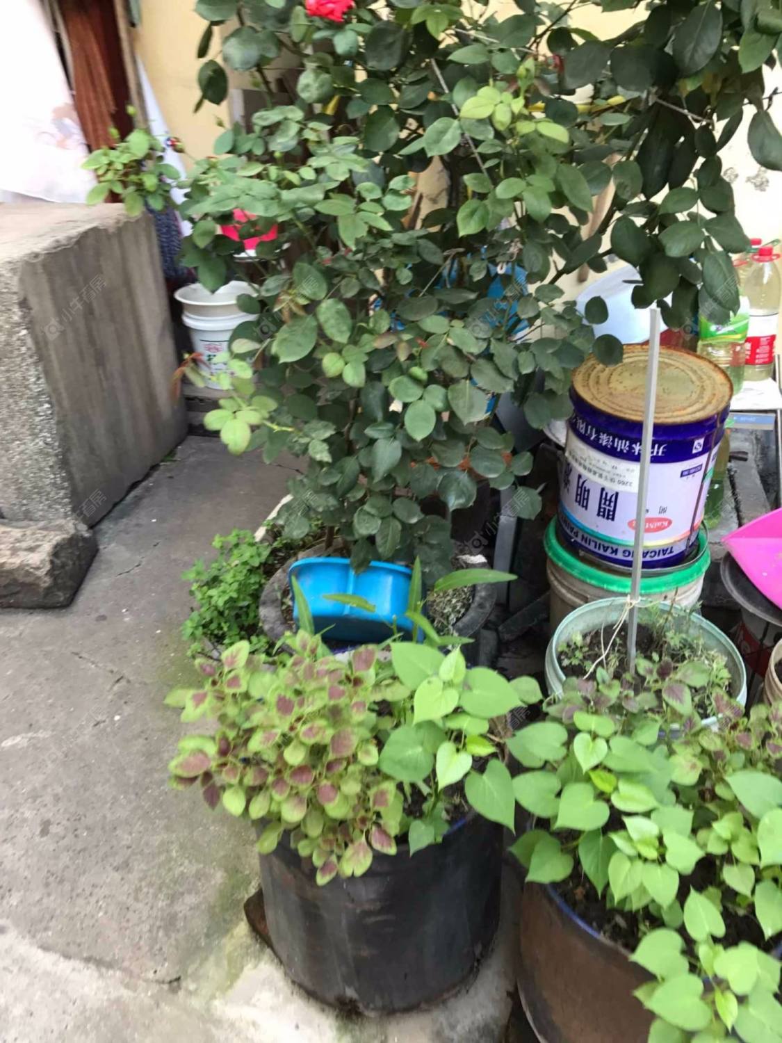 上海江宁路936弄小区_江宁路936弄小区null