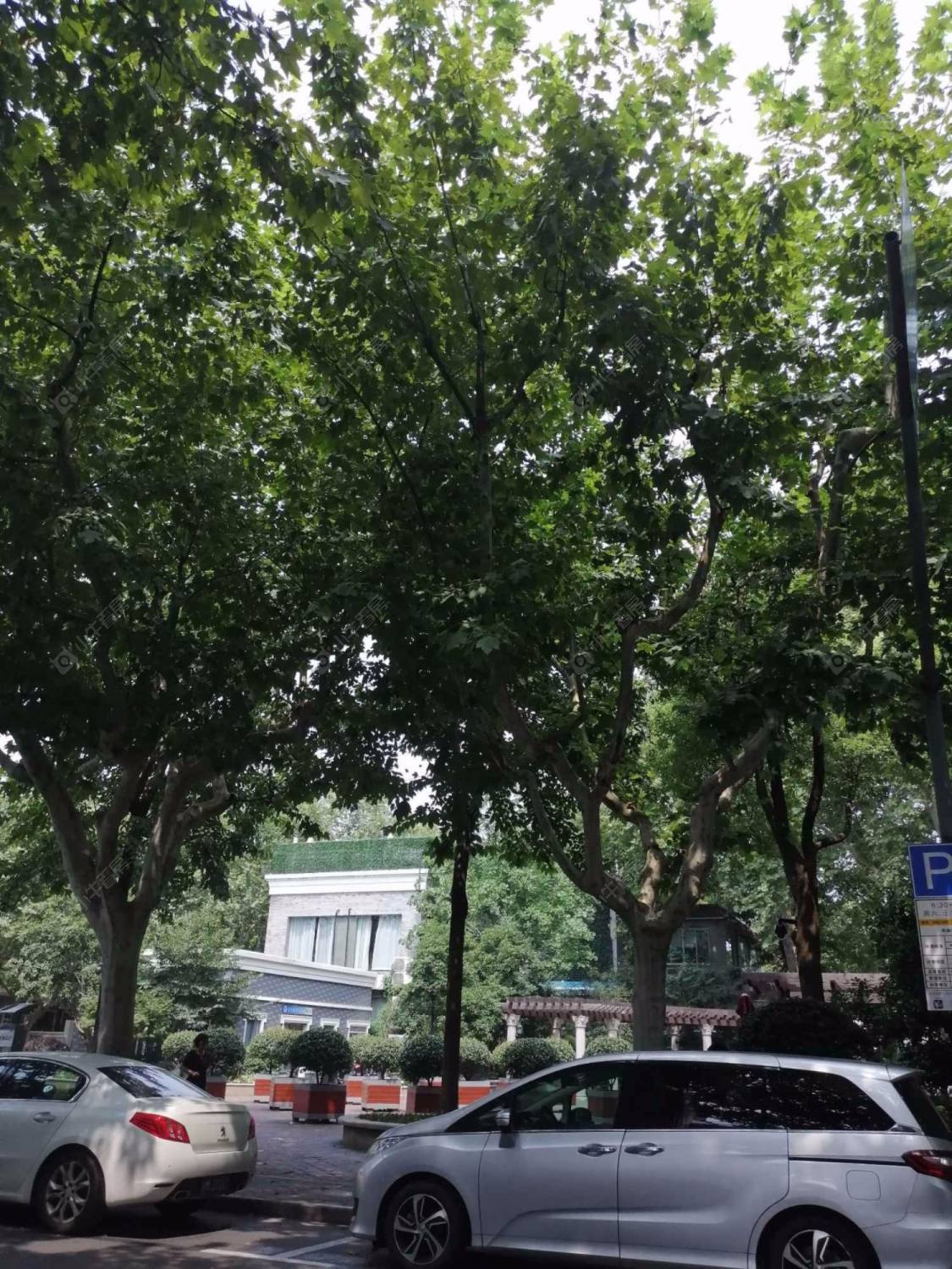 上海襄北大楼小区_襄北大楼小区null