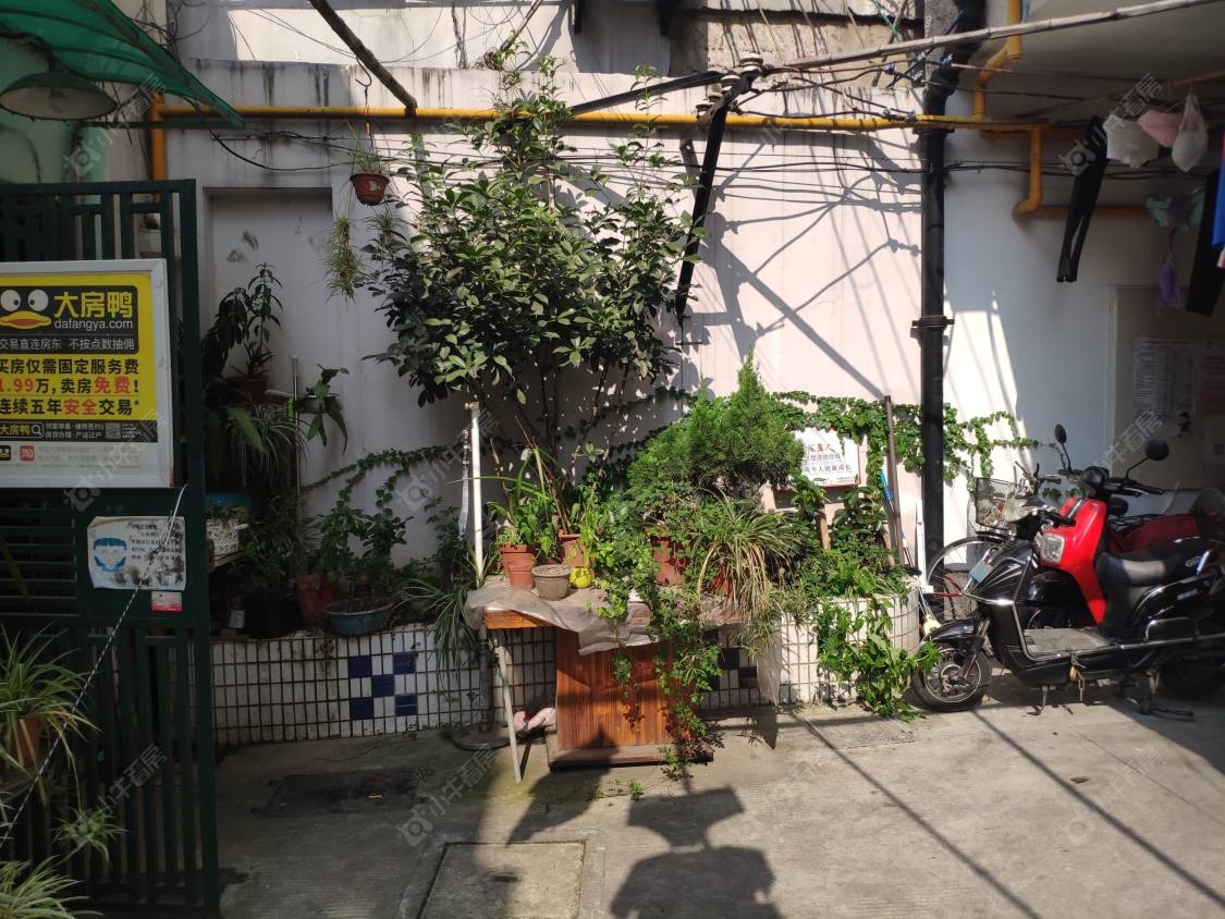 上海天津路236弄小区_小牛看房