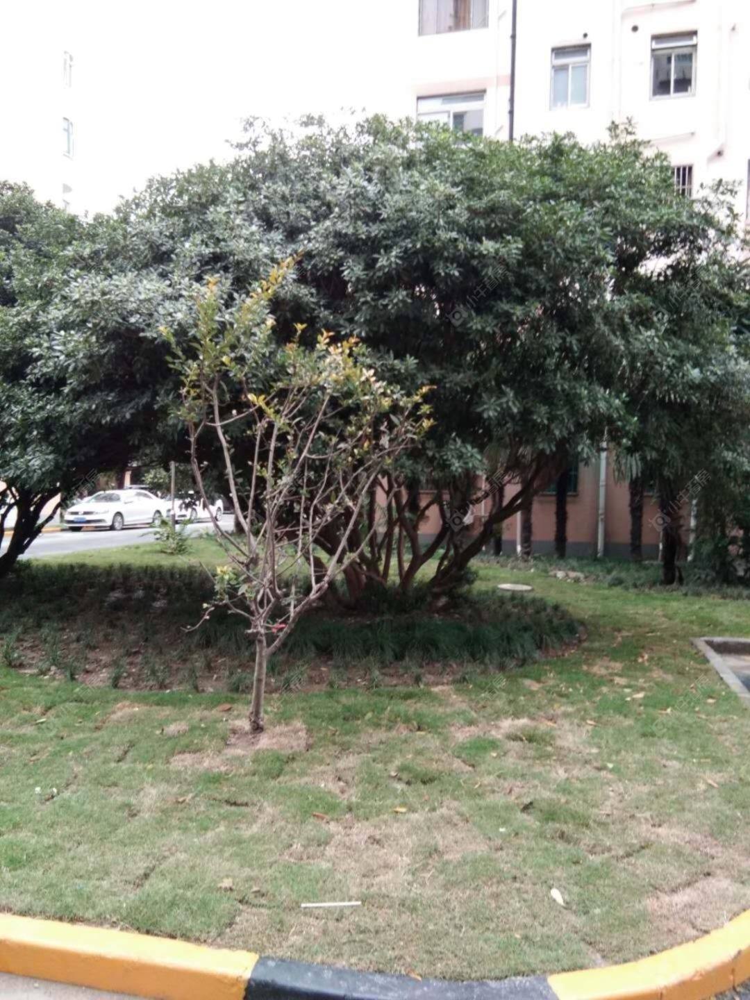 上海万泰公寓小区_万泰公寓小区null