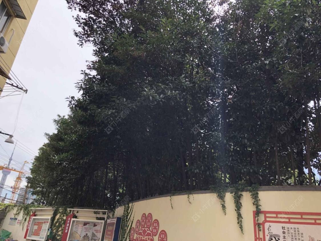 上海唐山路509弄小区_小牛看房