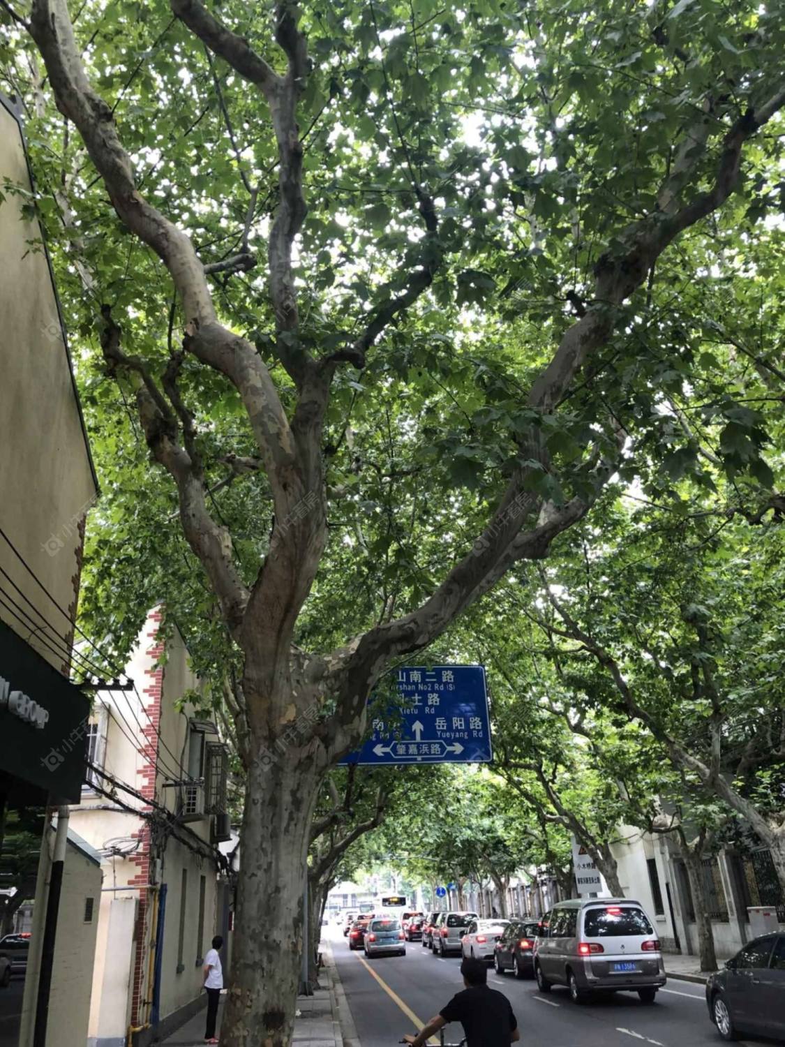 上海太原路305弄小区_太原路305弄小区null