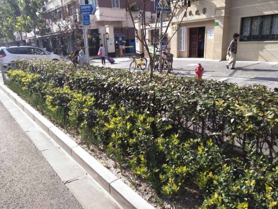 上海芷江中路公房小区_芷江中路公房小区null