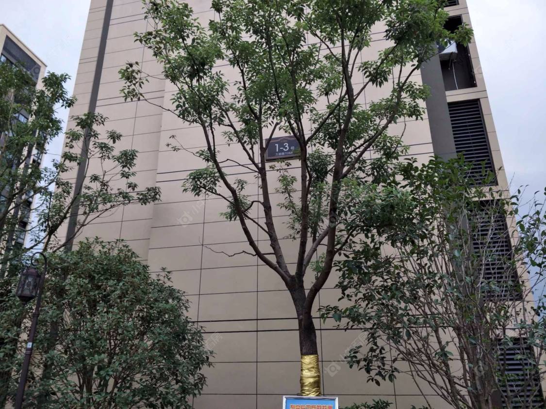 上海万科金域华府东区小区_万科金域华府东区小区null