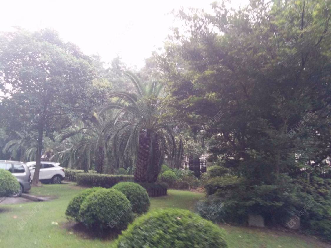 上海丰华家园小区_丰华家园小区null