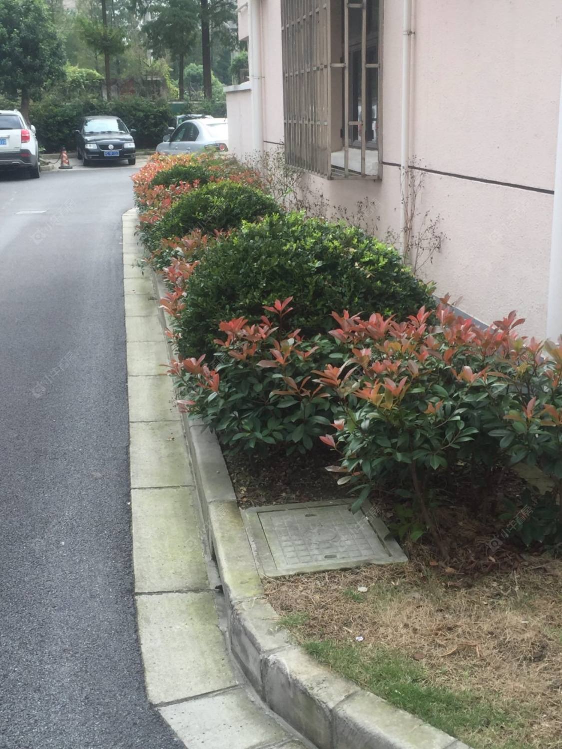 上海莘南新村小区_莘南新村小区null