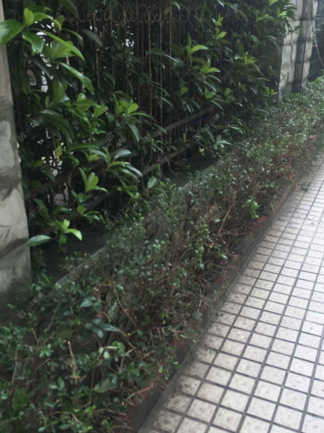 上海新华名苑小区_新华名苑小区null