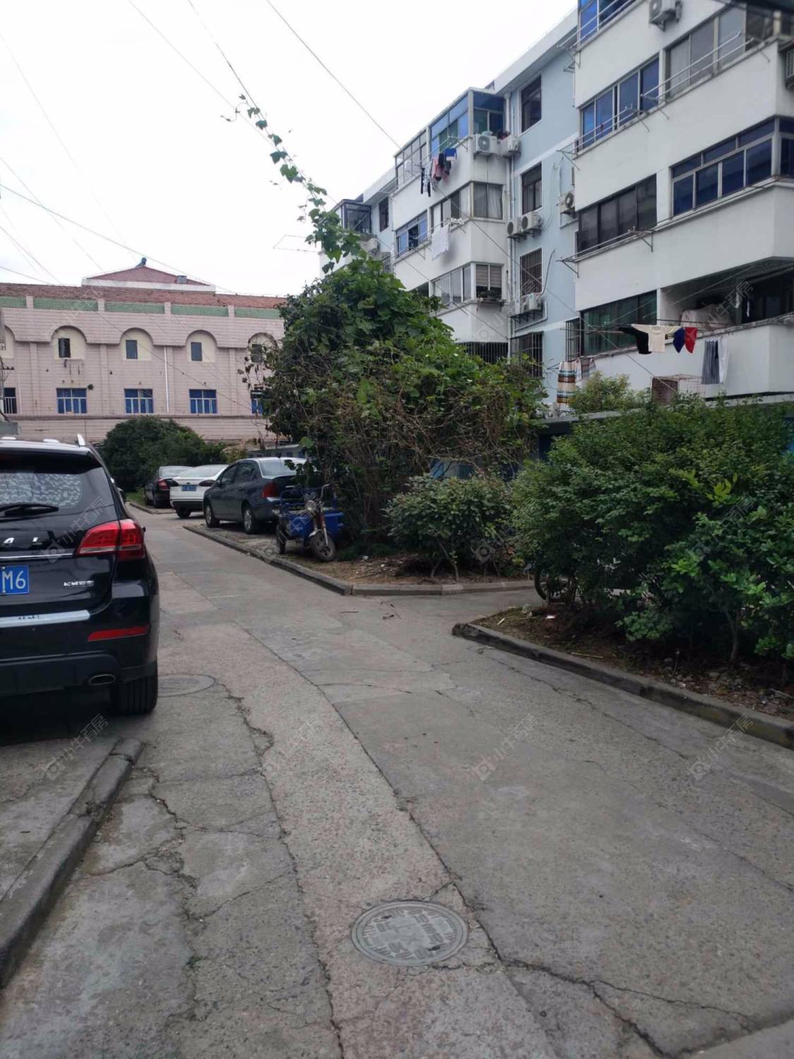 上海石笋一村小区_石笋一村小区null