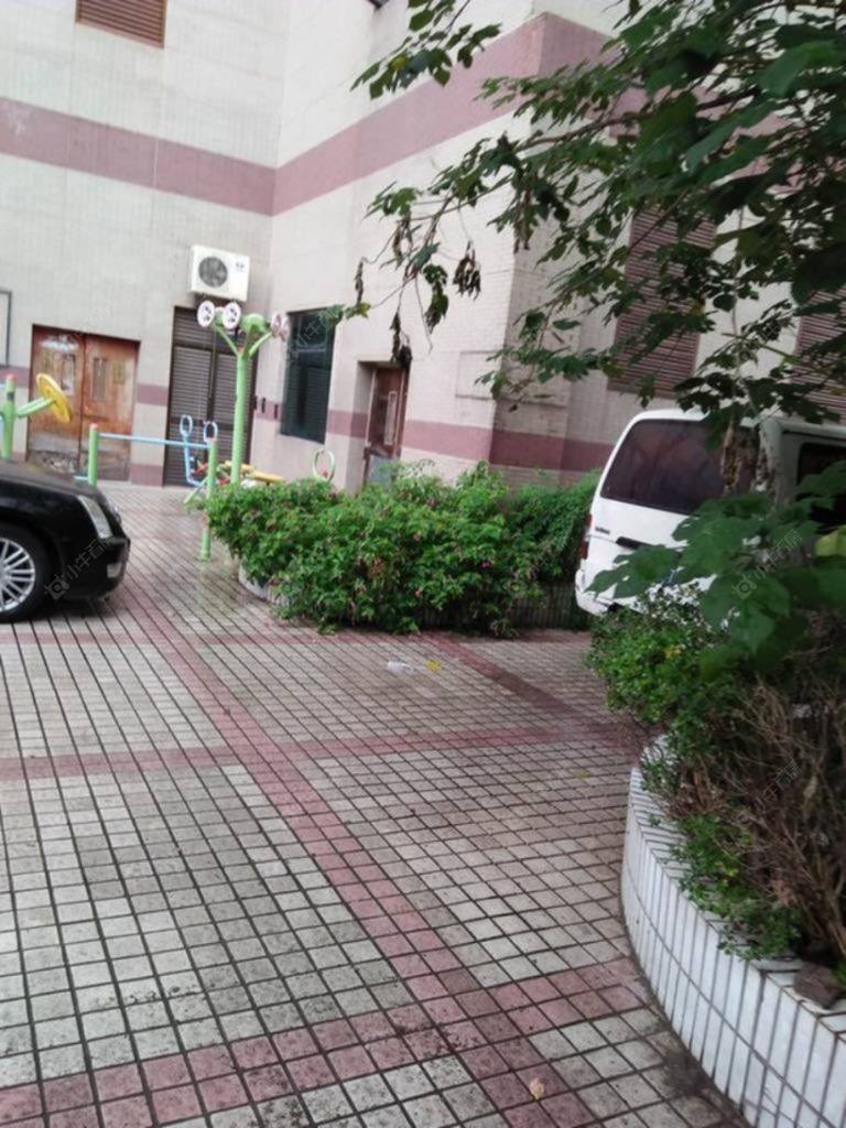 上海国际广场小区_国际广场小区null