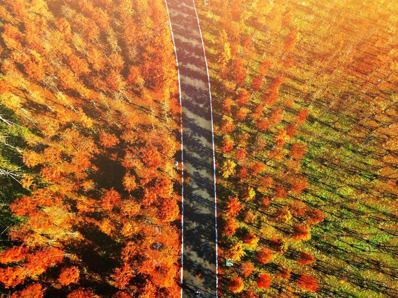 上海上实和风院小区_上实和风院小区null