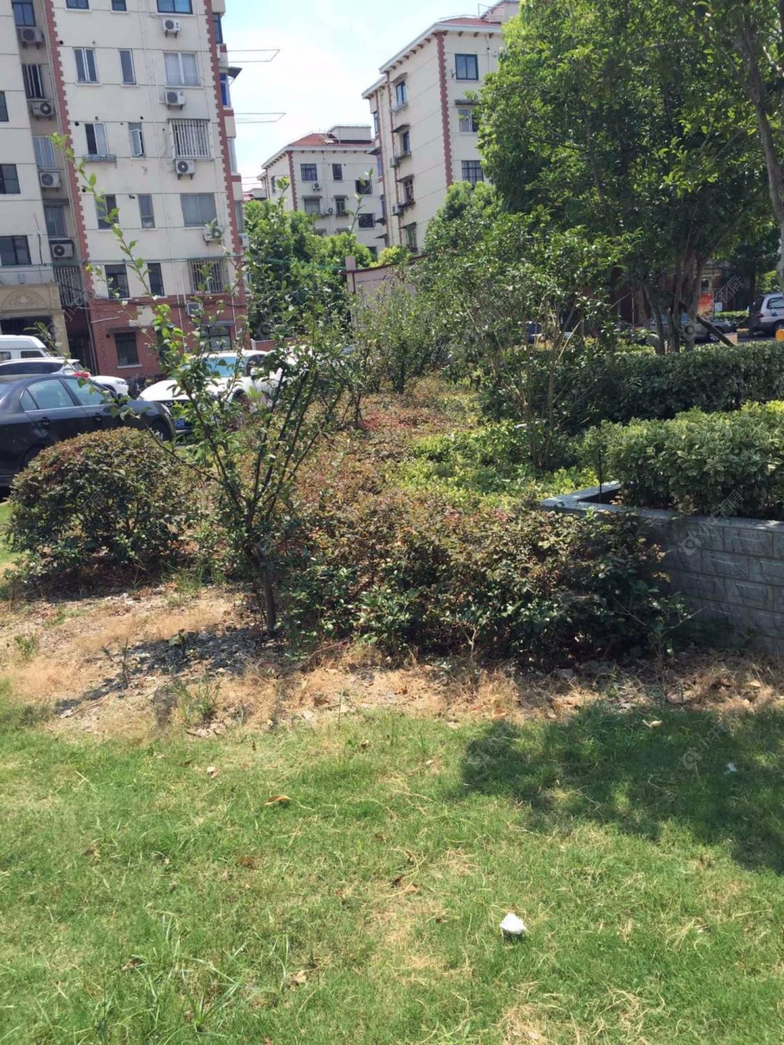 上海真光新村第四小区小区_真光新村第四小区小区null