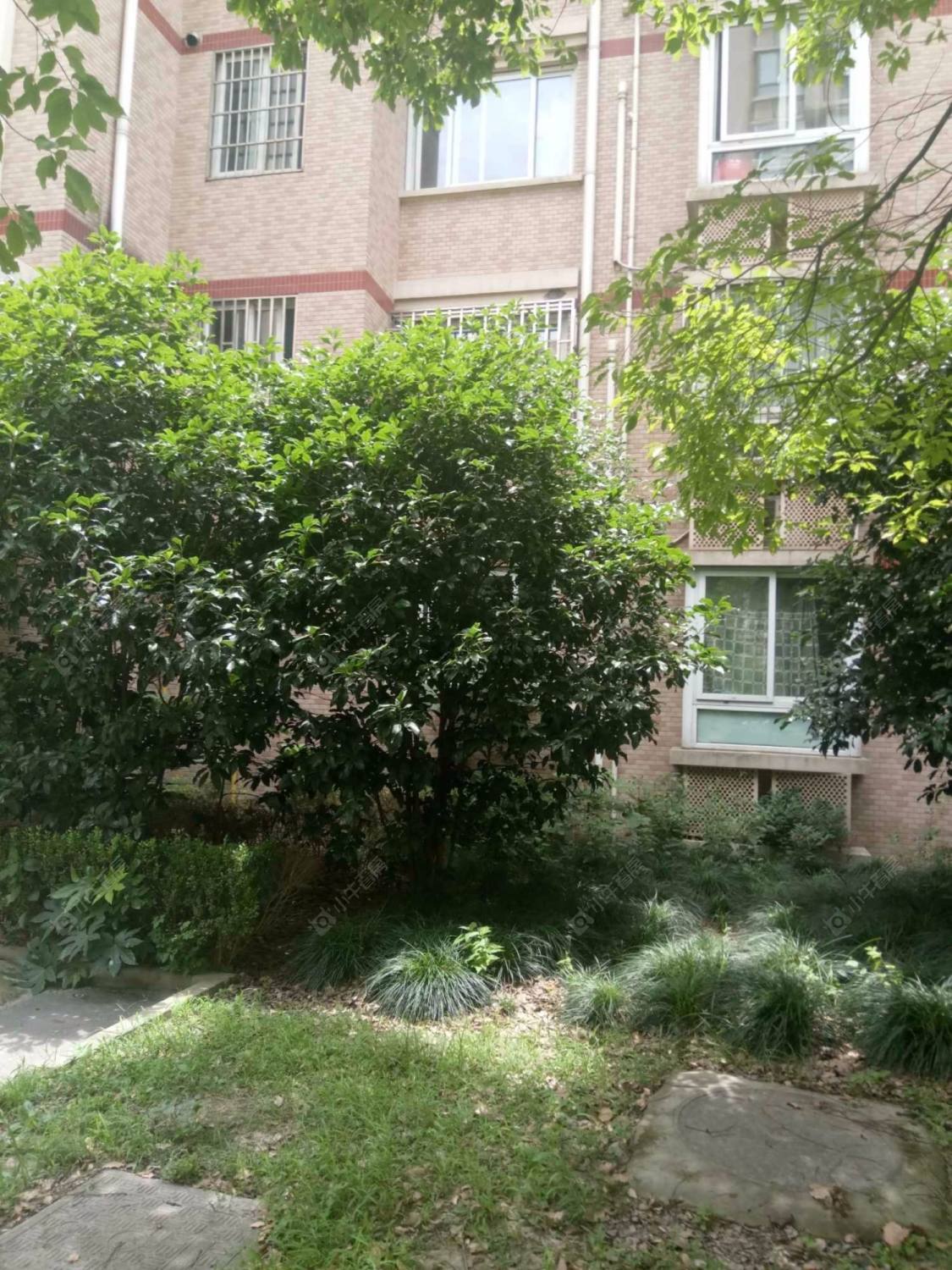 上海新梅绿岛苑小区_新梅绿岛苑小区null