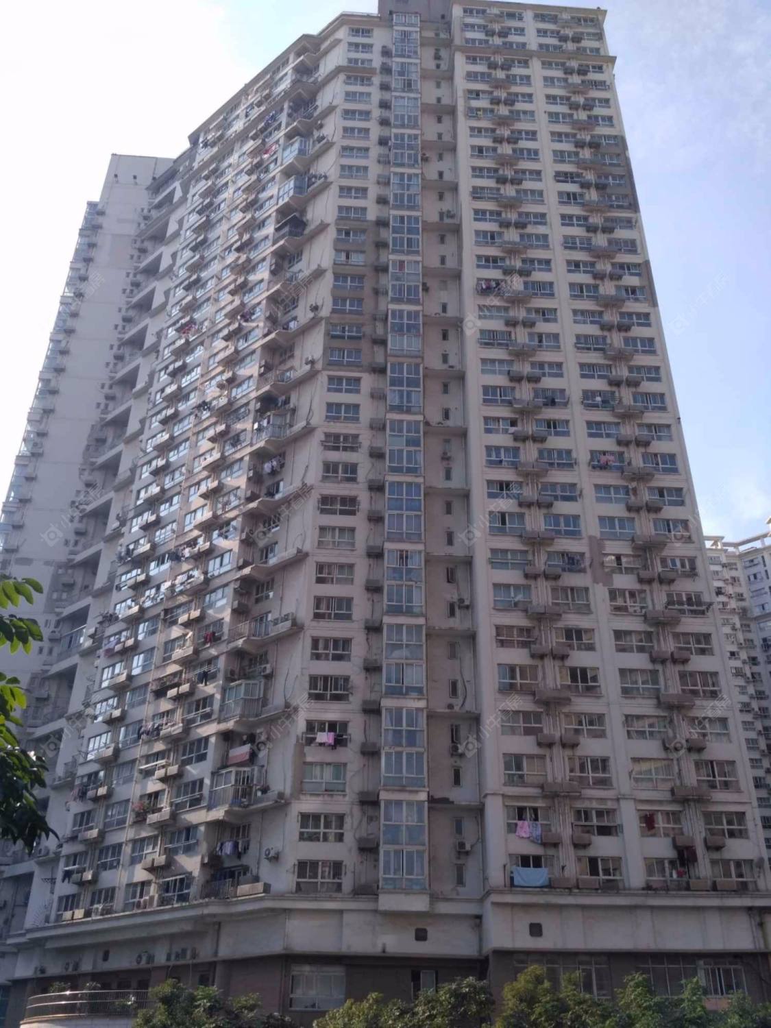 上海中福浦江汇二期小区_中福浦江汇二期小区null