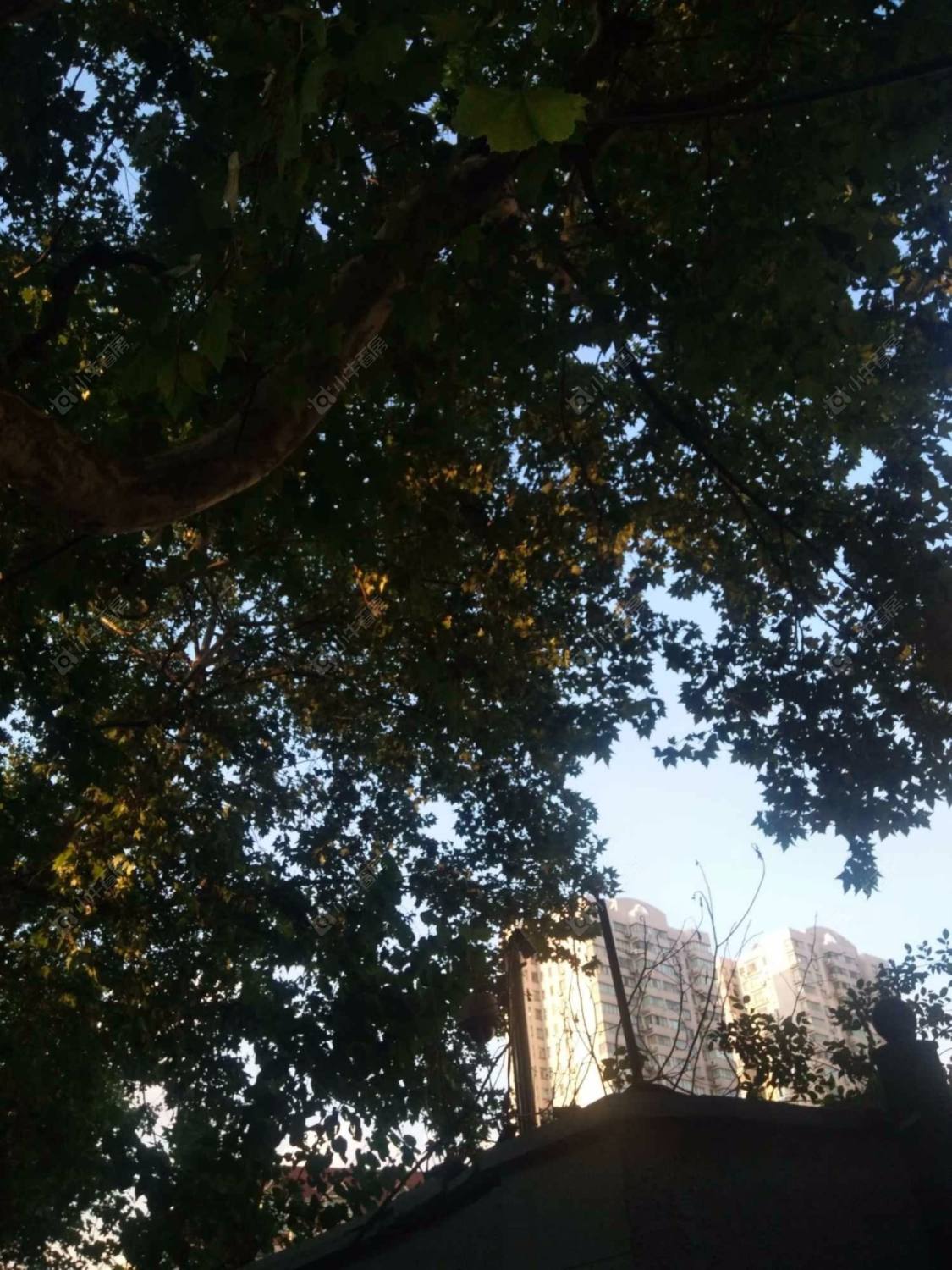 上海襄阳南路429弄小区_襄阳南路429弄小区null