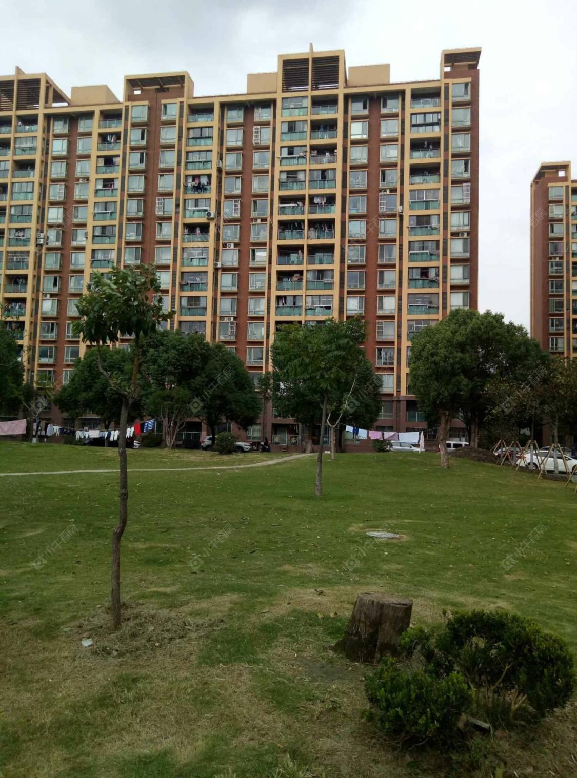 金榜新苑1900弄封面图_小牛看房