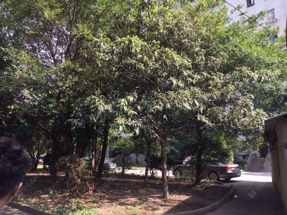 精益公寓封面图_小牛看房