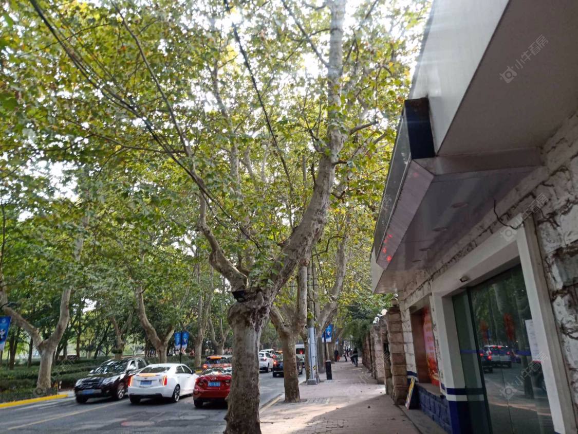 上海勤乐邨小区_勤乐邨小区null