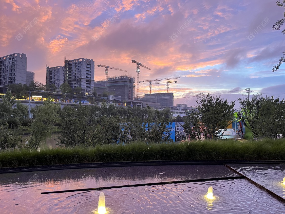 上海保利光合上城小区_保利光合上城小区null