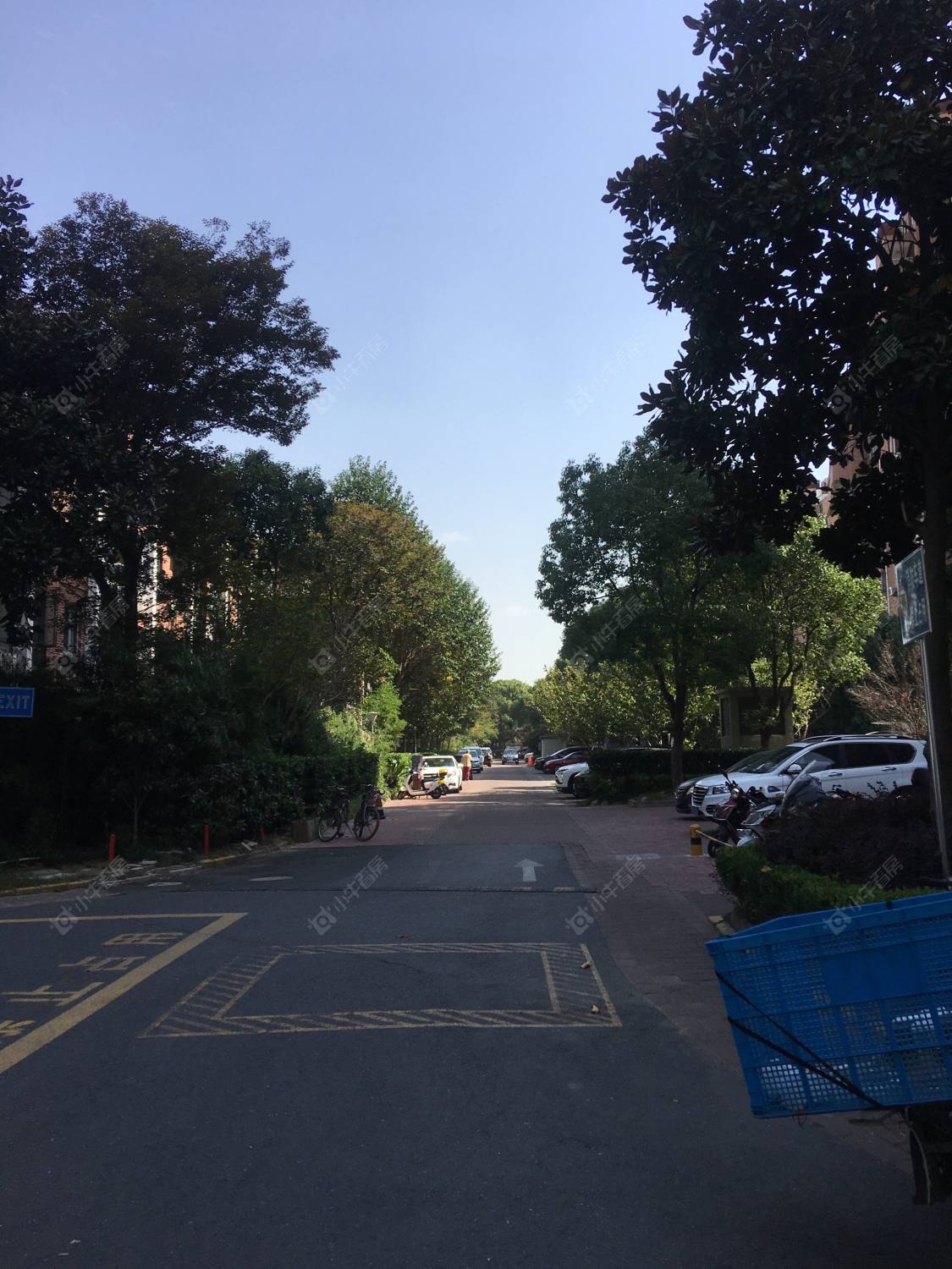 上海新镇街小区_新镇街小区null