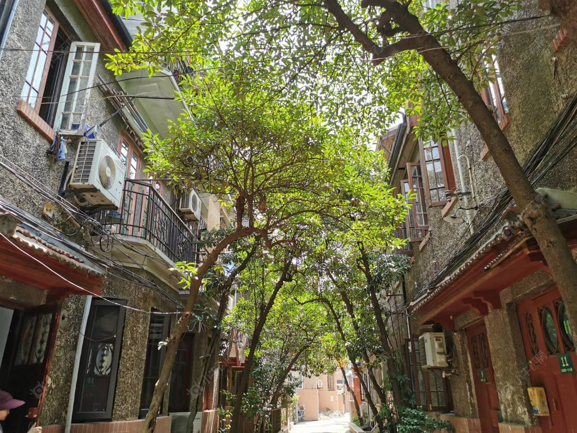 上海黄渡路107弄小区_黄渡路107弄小区null