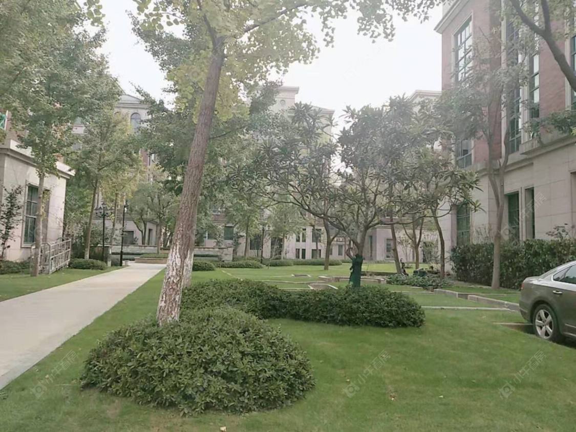 上海建枫新村小区_建枫新村小区null