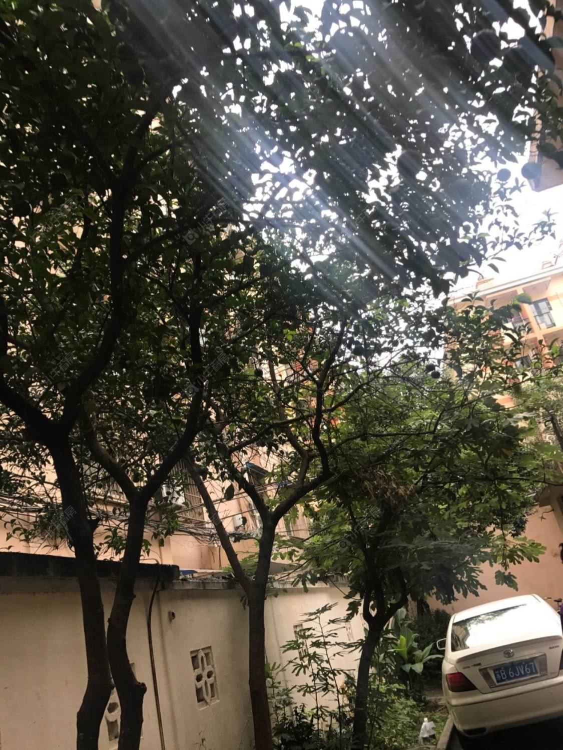 上海徐家宅小区(长宁)小区_徐家宅小区(长宁)小区null