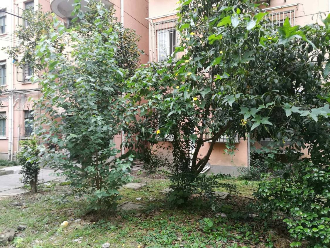 上海报春四村小区_报春四村小区null