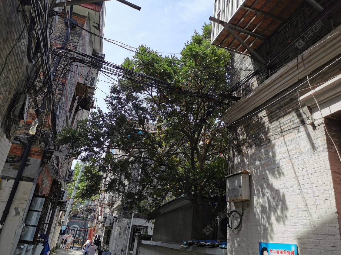 上海溧阳路1355弄小区_溧阳路1355弄小区null