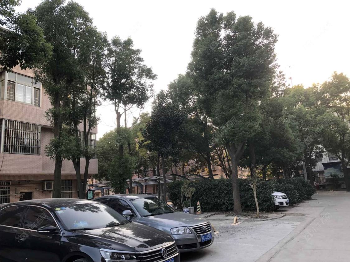 上海杨巷小区小区_杨巷小区小区null