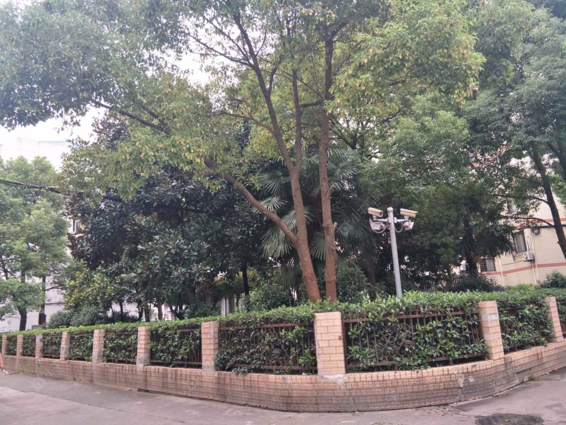 上海中星莱阳公寓小区_中星莱阳公寓小区null