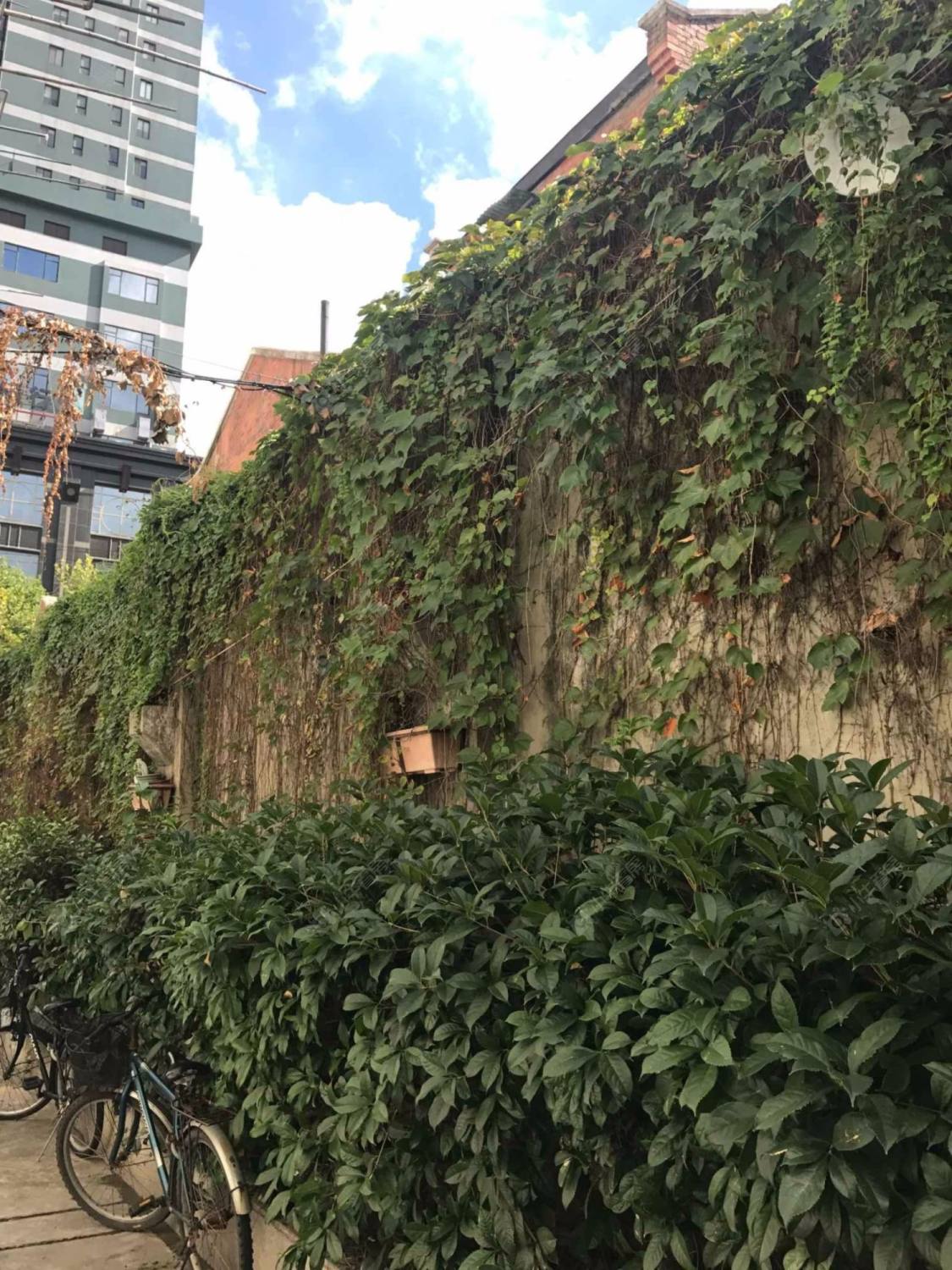 上海康定路710弄小区_小牛看房