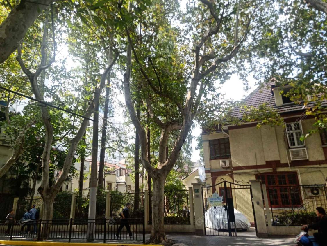 上海永嘉第一小区小区_永嘉第一小区小区null