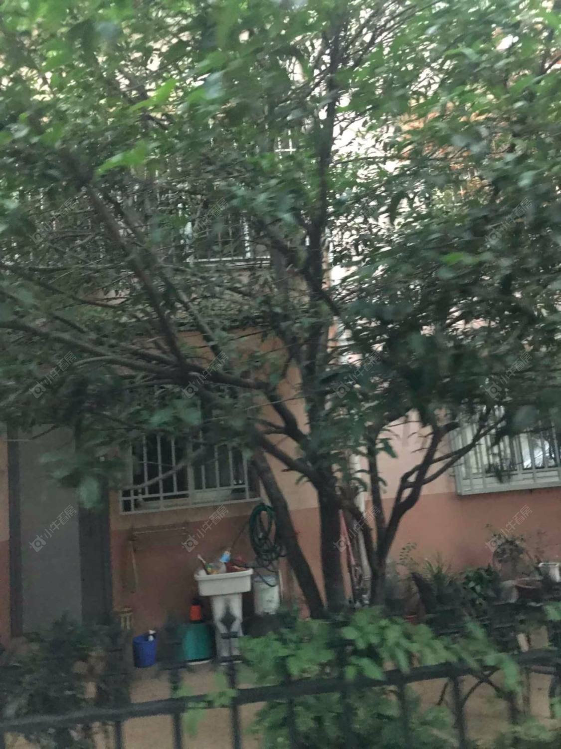 上海天山雅苑小区_天山雅苑小区null