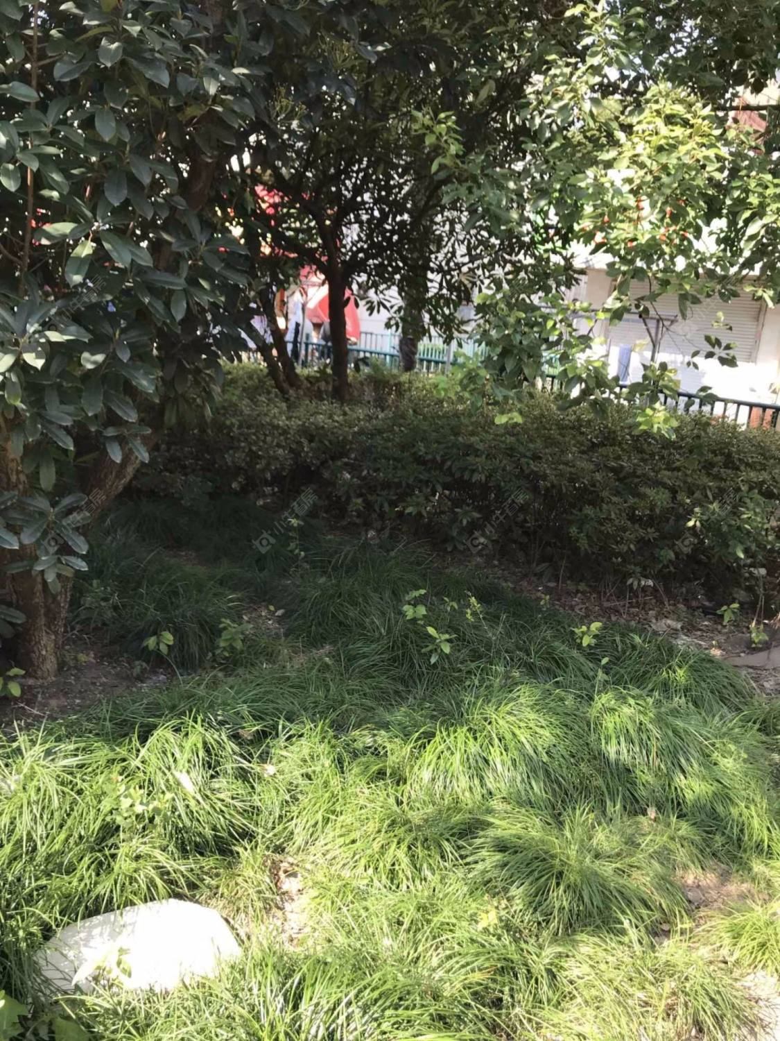 上海上钢八村小区_上钢八村小区null