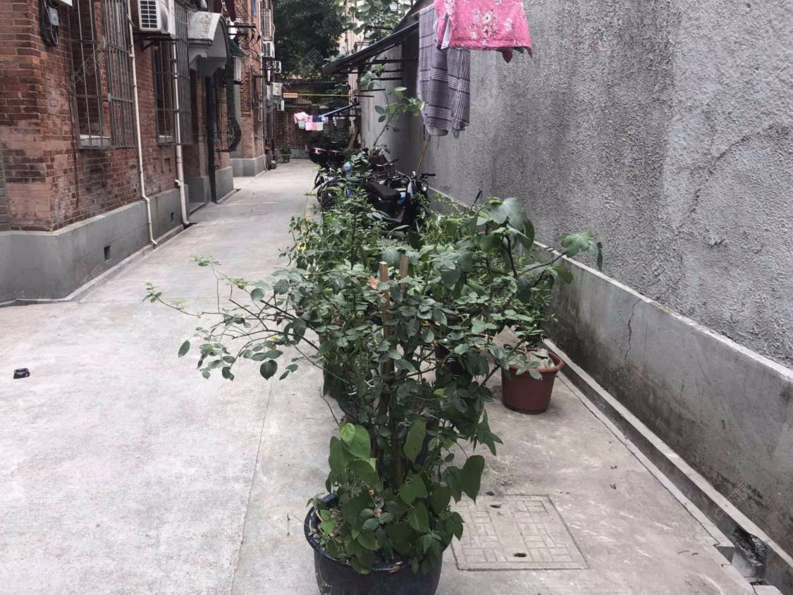 上海文元坊(绍兴路)小区_文元坊(绍兴路)小区实景图