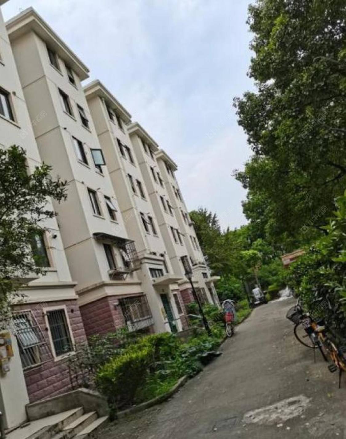 上海东陆新村五街坊小区_东陆新村五街坊小区null