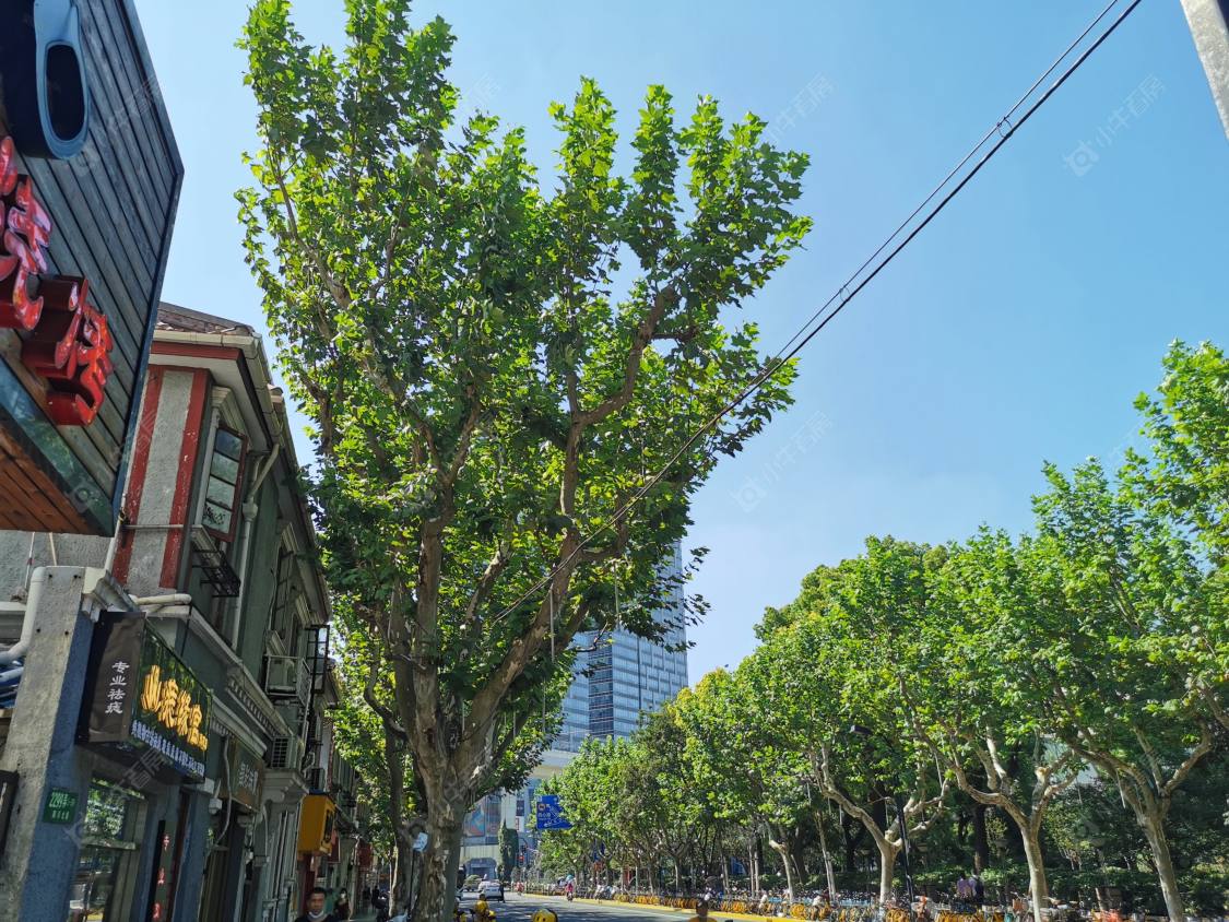 上海四川路小区_四川路小区null