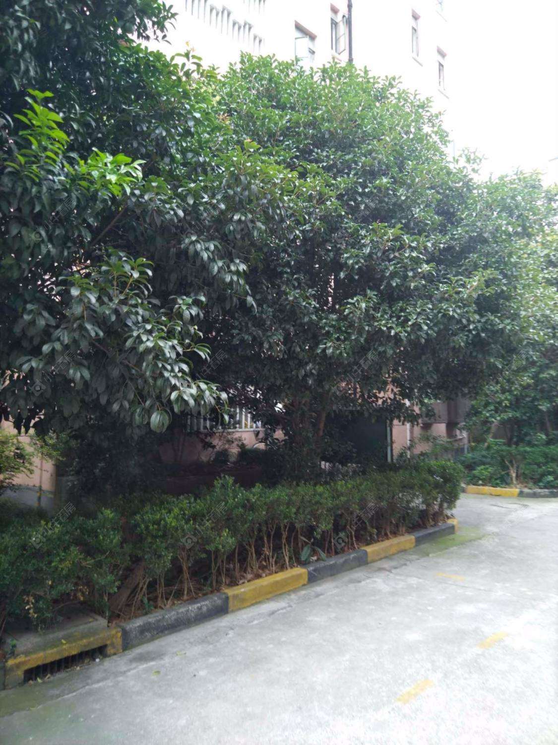 上海池沟路300弄小区_小牛看房