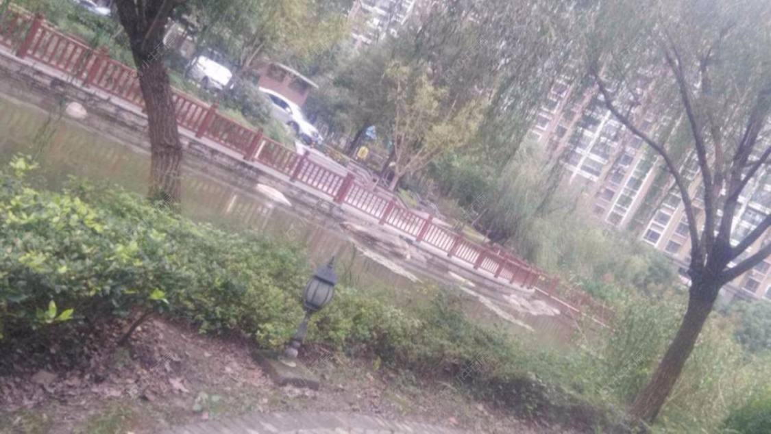 御上海封面图_小牛看房