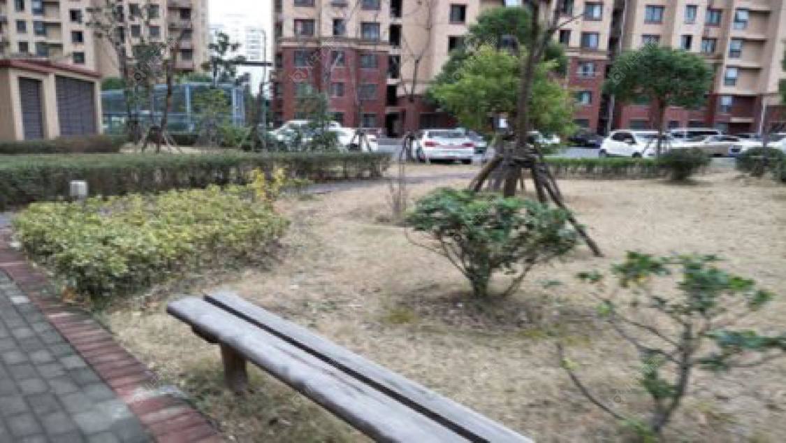 上海嘉宝梦之星小区_嘉宝梦之星小区null