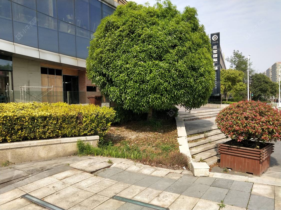 上海红星国际广场(闵行)小区_红星国际广场(闵行)小区null